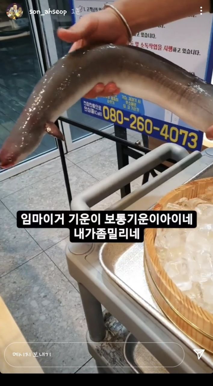[잡담] 손투리 인스스 손아섭 같다 | 인스티즈