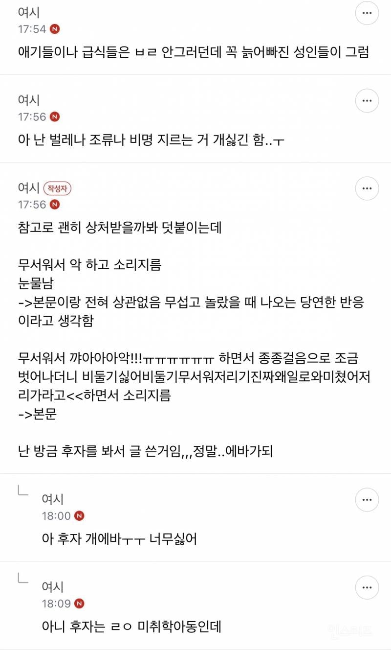 성인들아 제발 길에서 비둘기 보고 소리지르지 마 | 인스티즈