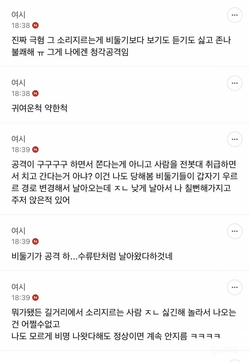 성인들아 제발 길에서 비둘기 보고 소리지르지 마 | 인스티즈