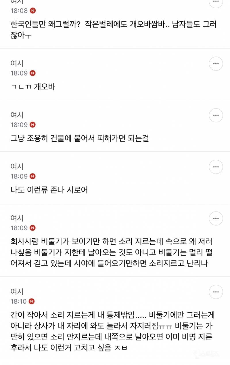 성인들아 제발 길에서 비둘기 보고 소리지르지 마 | 인스티즈