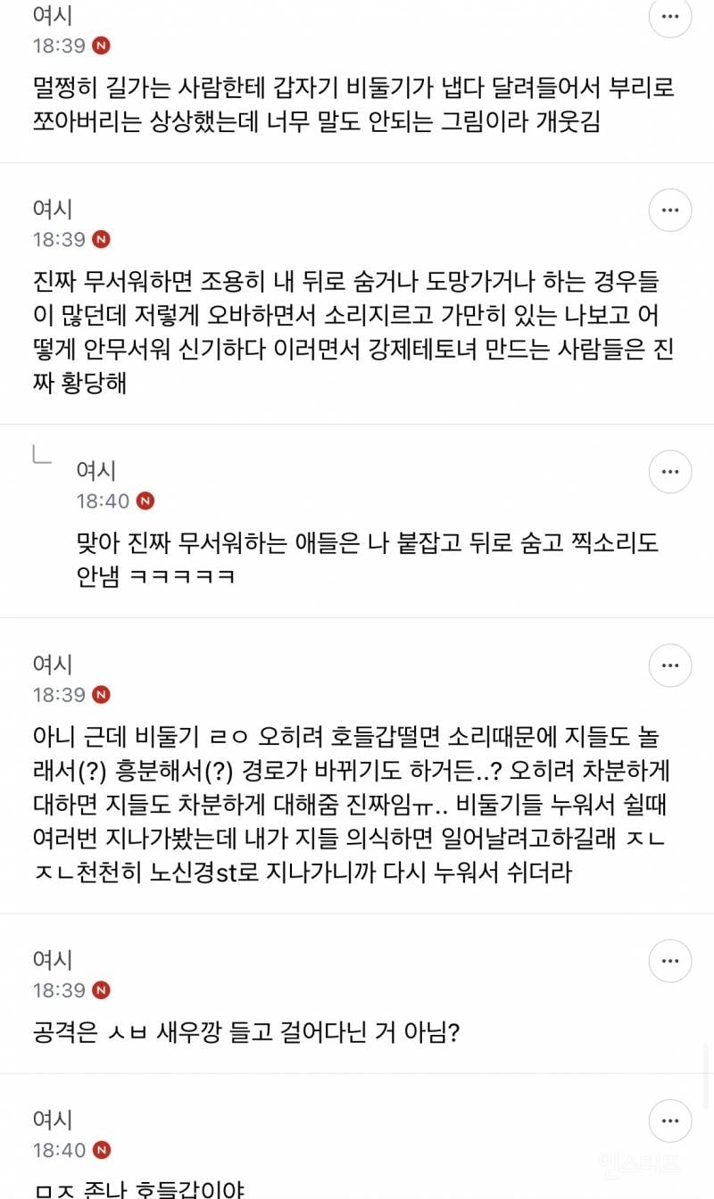 성인들아 제발 길에서 비둘기 보고 소리지르지 마 | 인스티즈