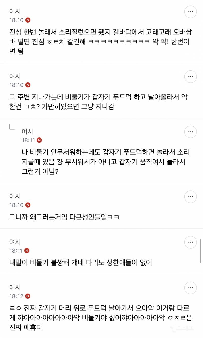 성인들아 제발 길에서 비둘기 보고 소리지르지 마 | 인스티즈