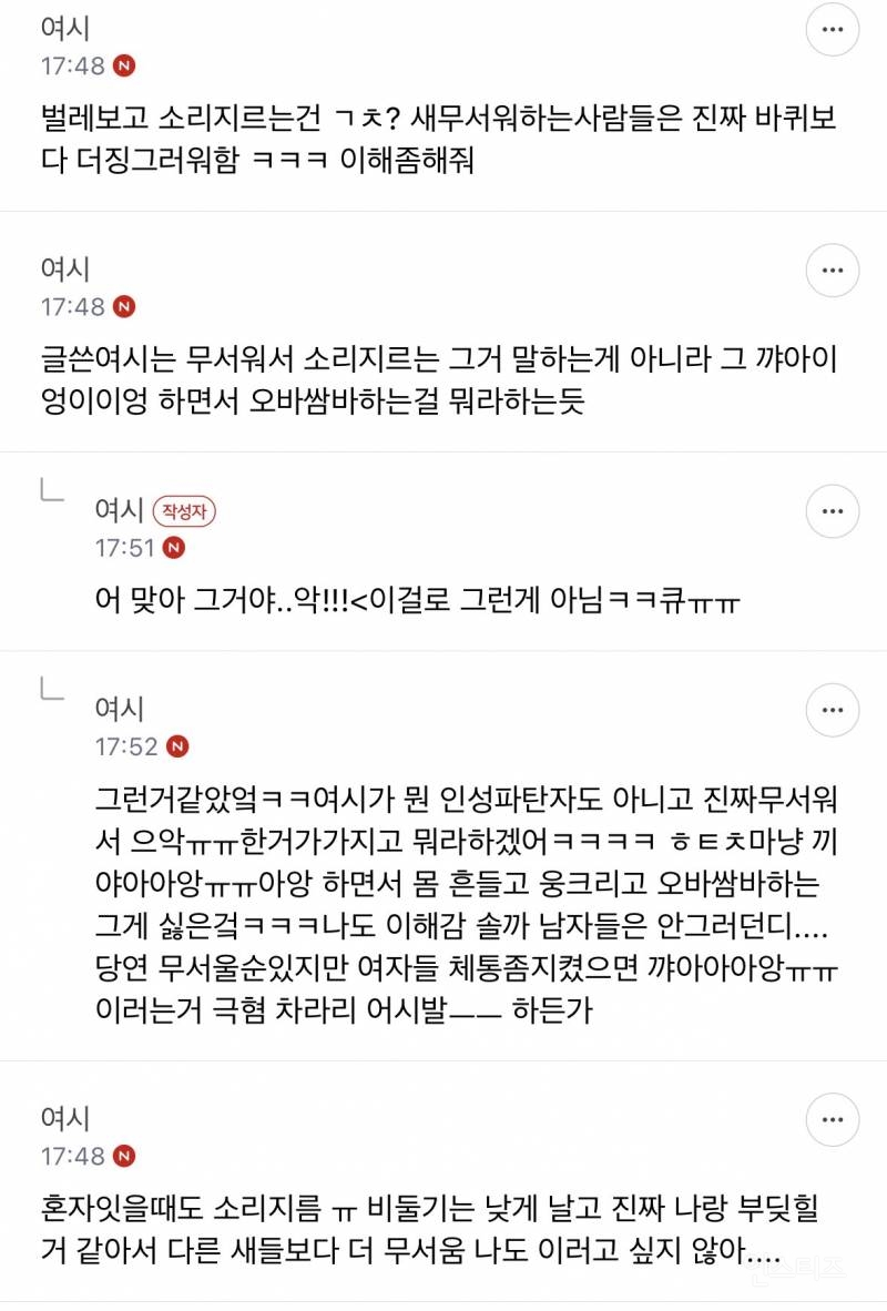 성인들아 제발 길에서 비둘기 보고 소리지르지 마 | 인스티즈