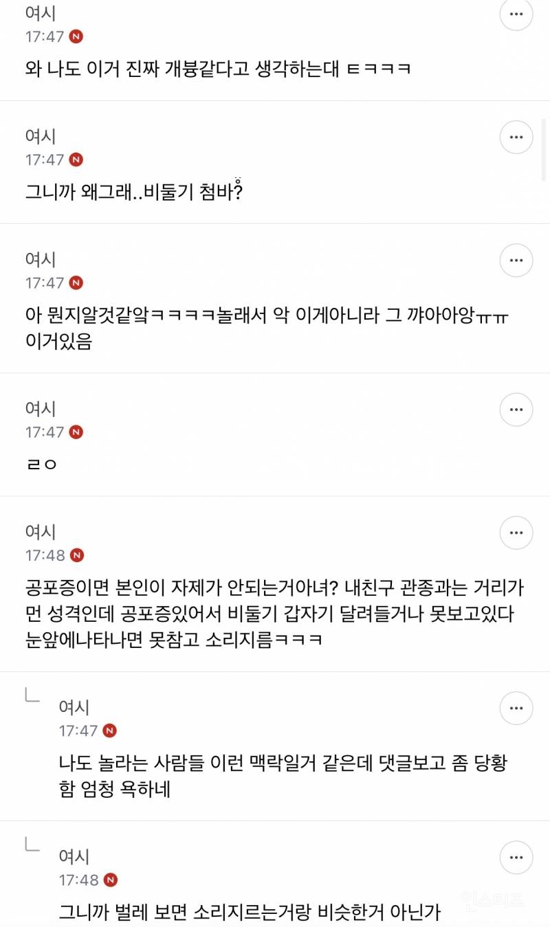 성인들아 제발 길에서 비둘기 보고 소리지르지 마 | 인스티즈