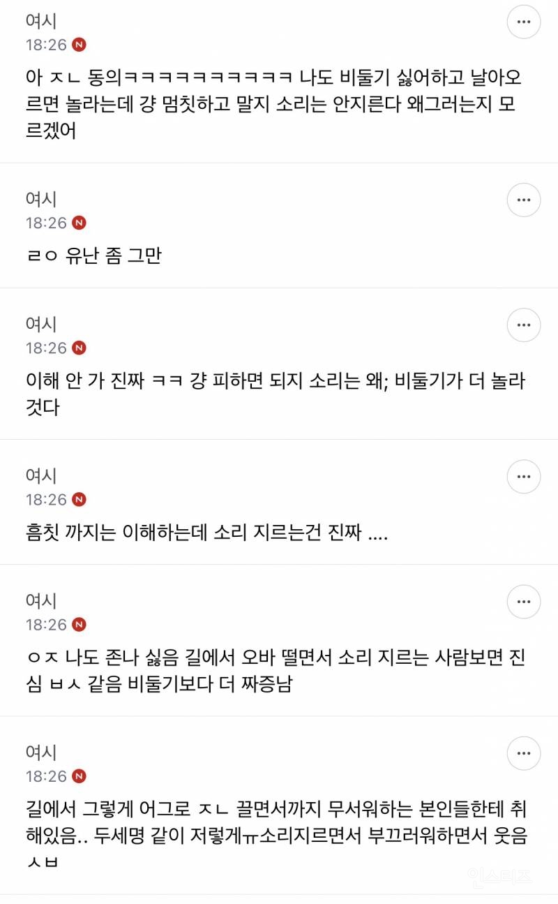 성인들아 제발 길에서 비둘기 보고 소리지르지 마 | 인스티즈