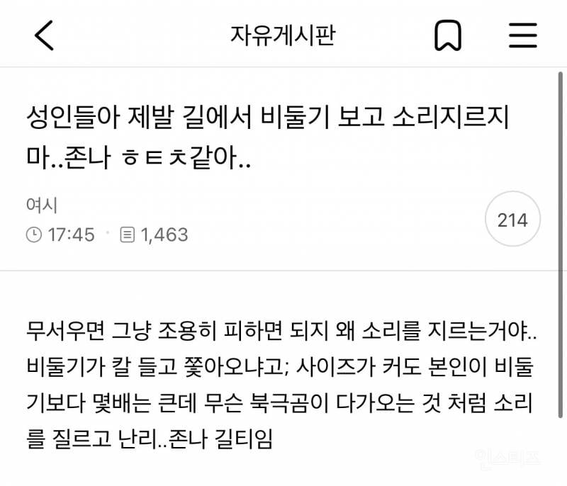 성인들아 제발 길에서 비둘기 보고 소리지르지 마 | 인스티즈