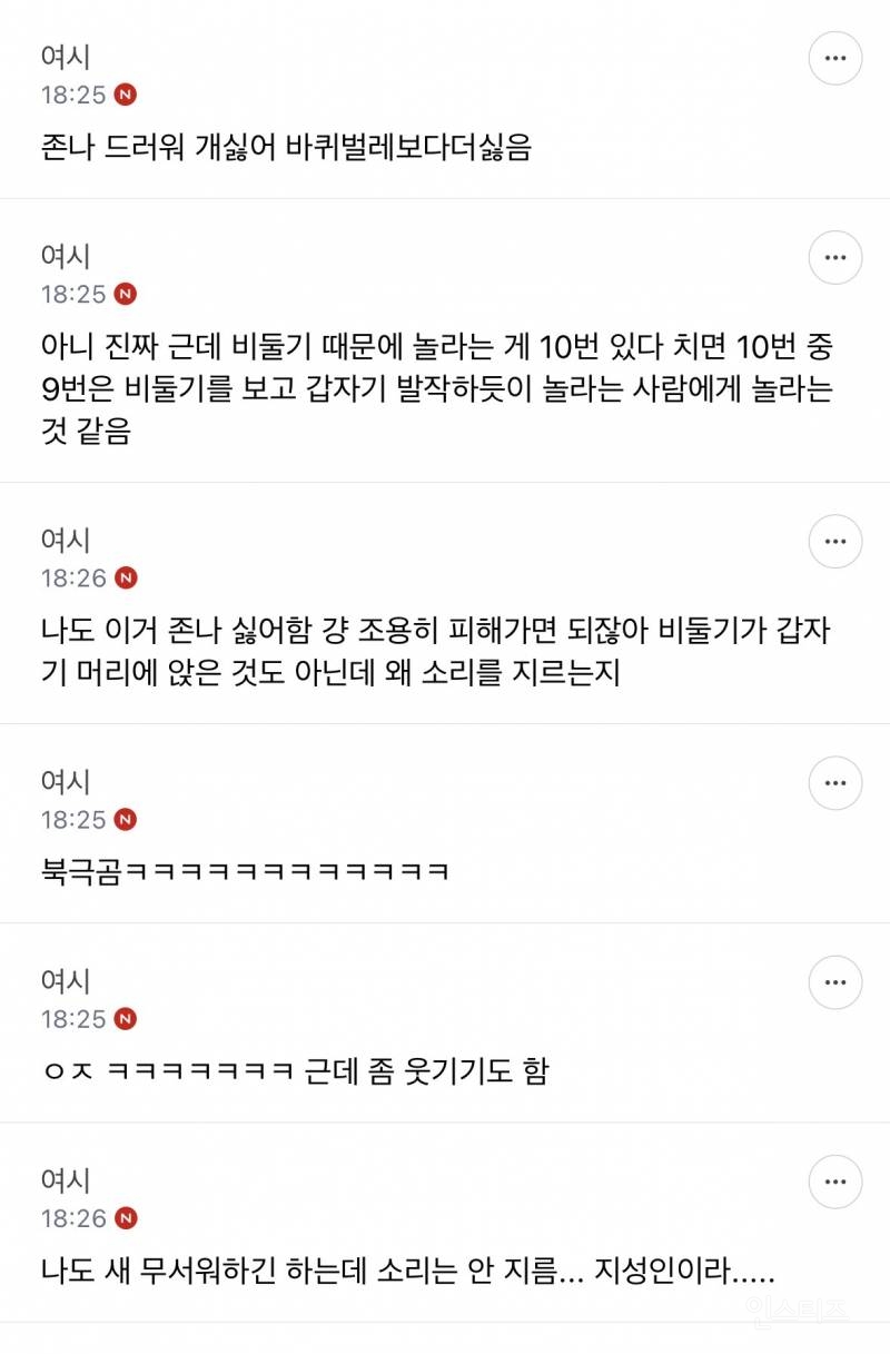 성인들아 제발 길에서 비둘기 보고 소리지르지 마 | 인스티즈