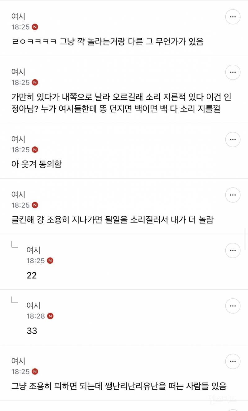 성인들아 제발 길에서 비둘기 보고 소리지르지 마 | 인스티즈