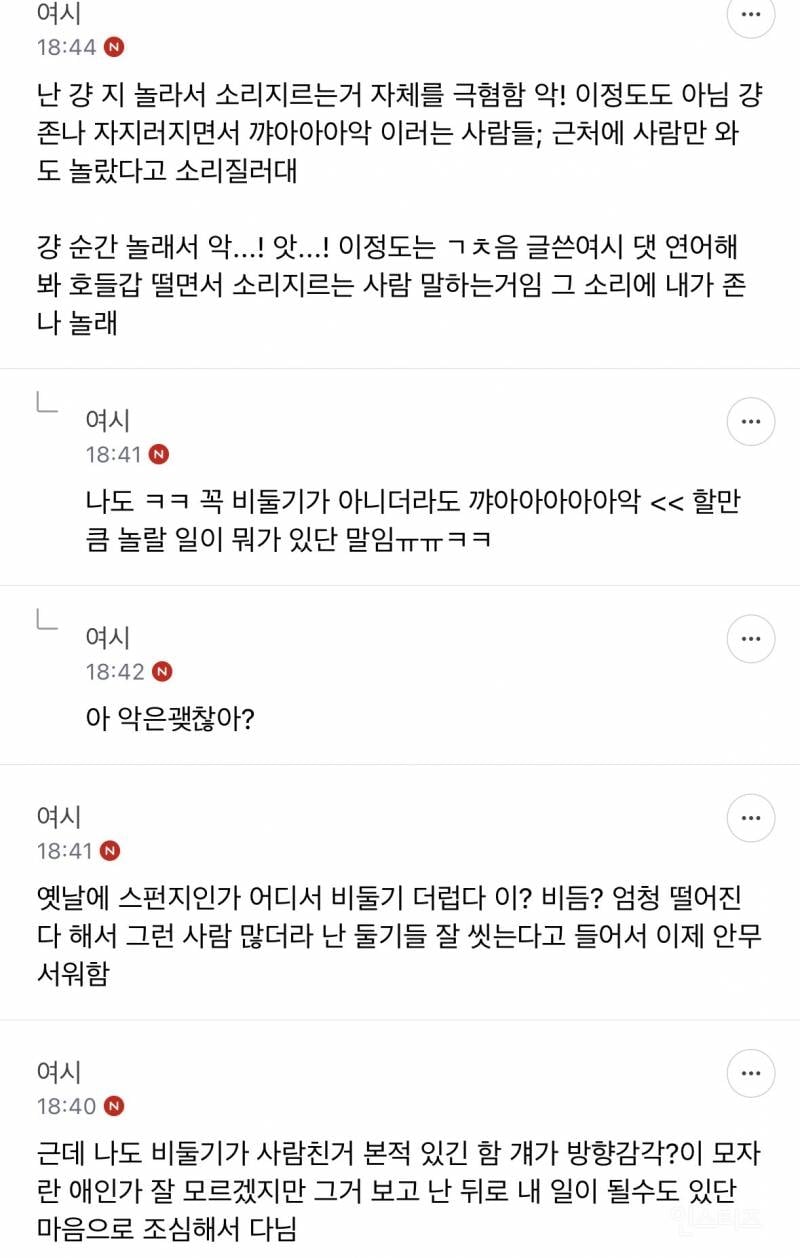 성인들아 제발 길에서 비둘기 보고 소리지르지 마 | 인스티즈