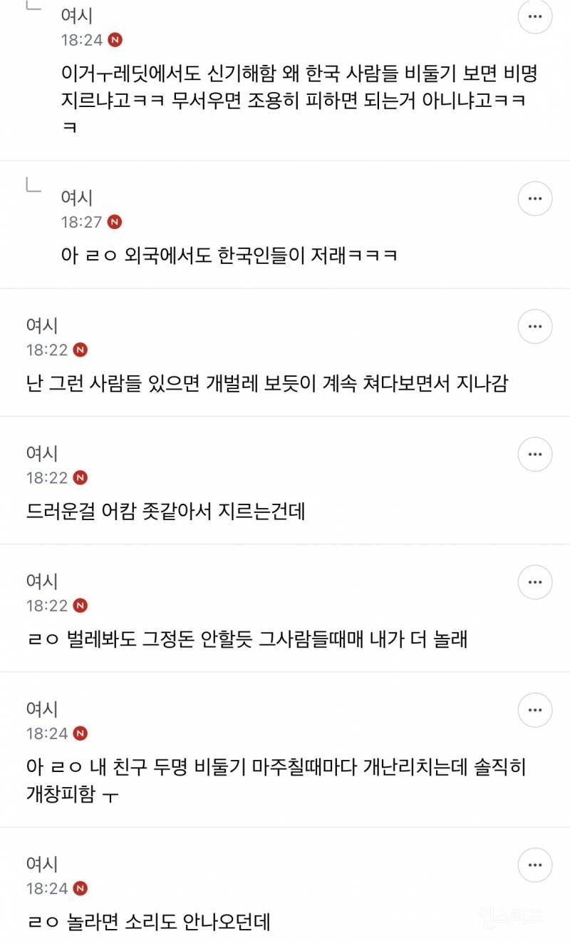 성인들아 제발 길에서 비둘기 보고 소리지르지 마 | 인스티즈