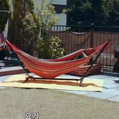 [잡담] 아니 이상원 해먹 엉덩이가 바닥에 닿았는데?ㅋㅋㅋㅋㅋㅋ | 인스티즈