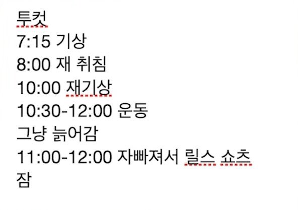 [잡담] 투컷 부지런하다 | 인스티즈