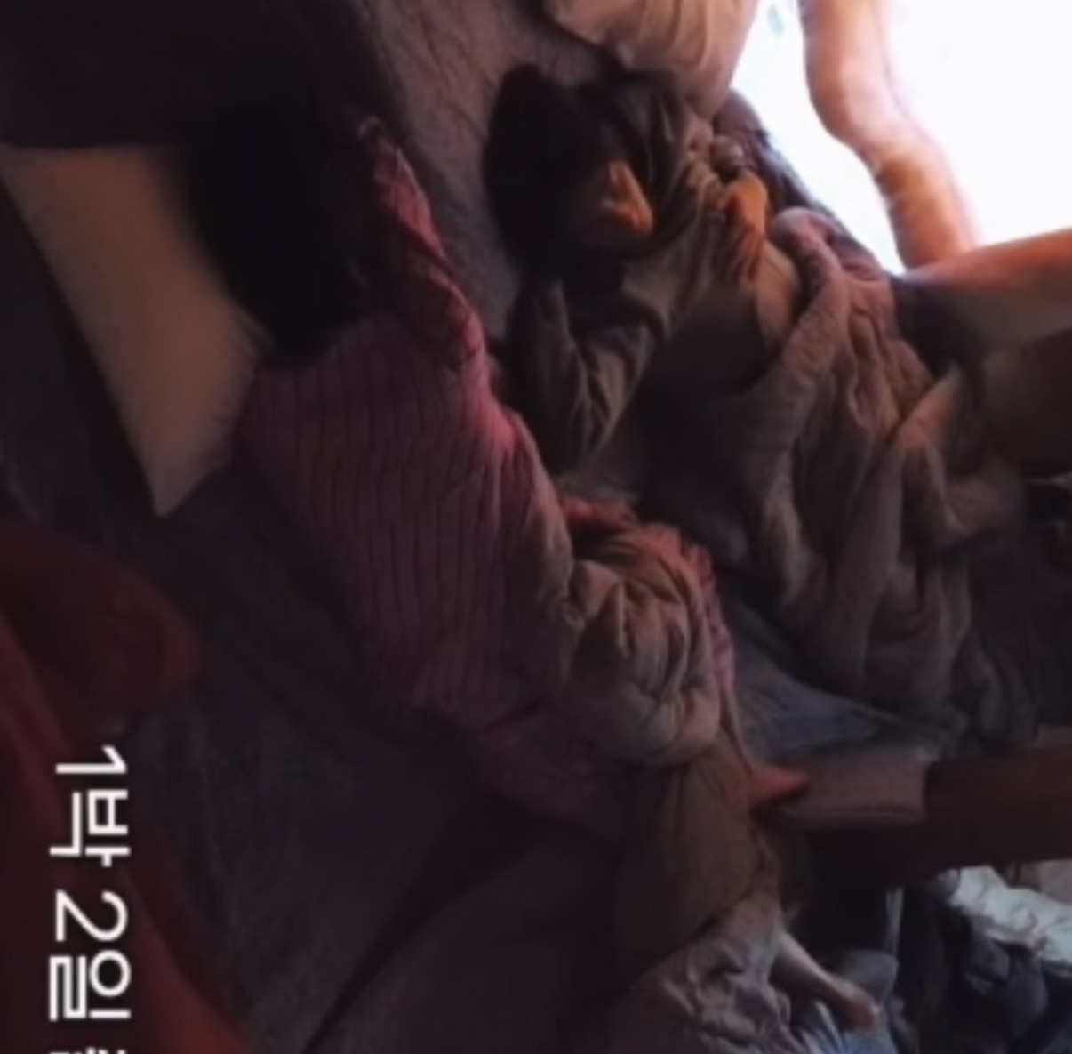 [잡담] 소희 자는거 귀엽다 | 인스티즈