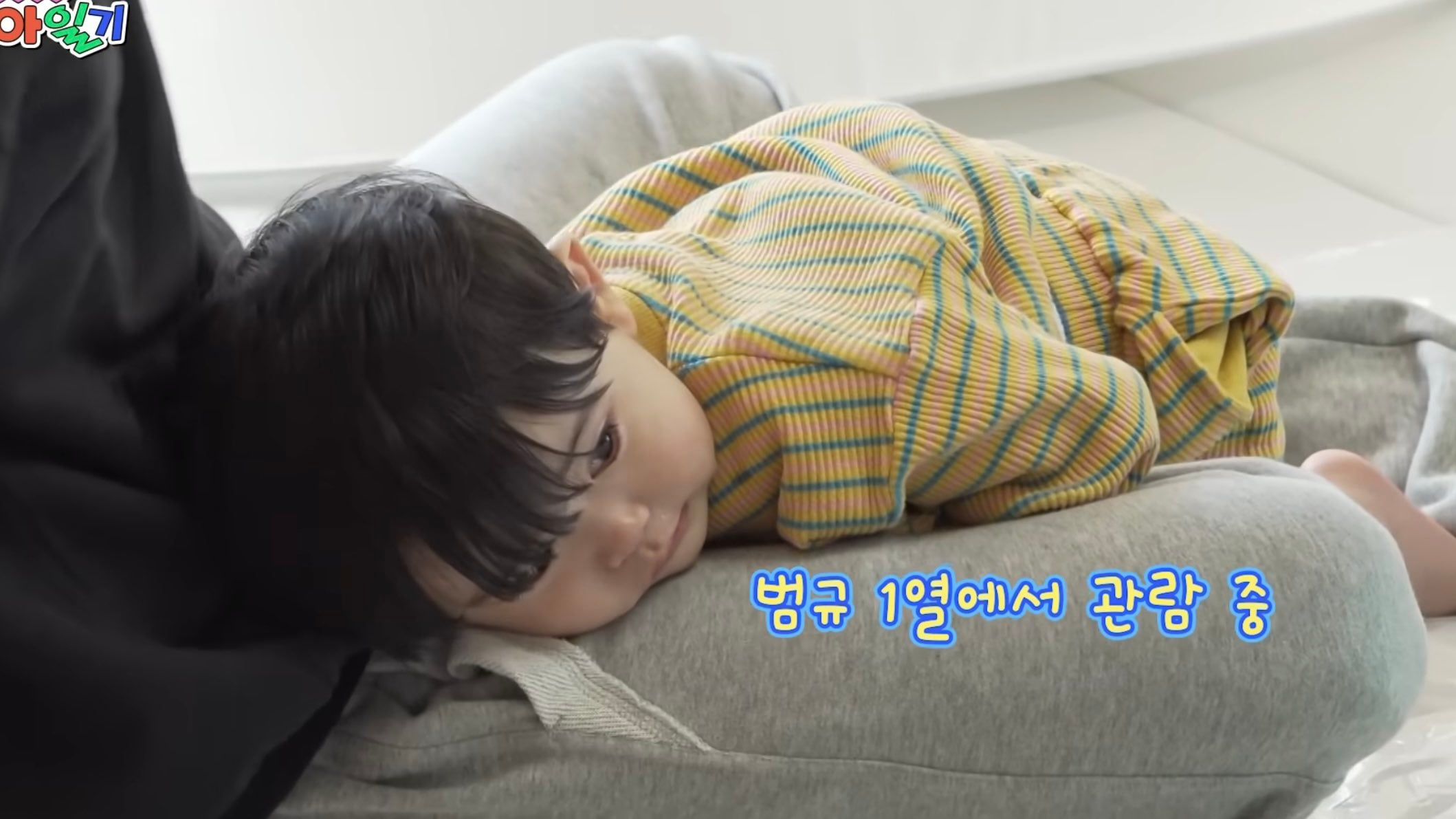[잡담] 유준이 삼촌들 앉은키보다 작아ㅋㅋㅋㅋㅋ | 인스티즈
