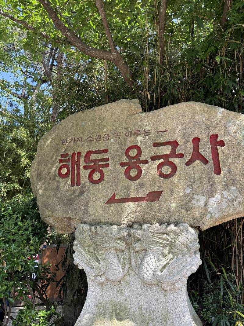 [잡담] 내일 또 해동용궁사 가야겠노.... | 인스티즈
