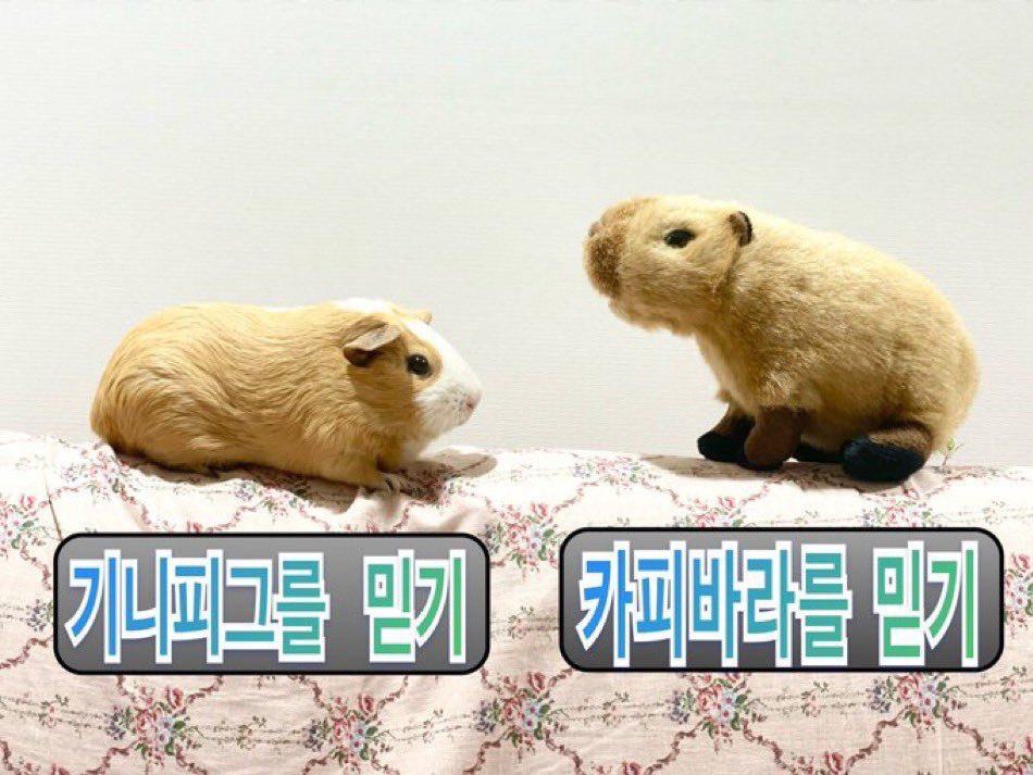 [잡담] 하 누가 제니 원희 투샷 보고 ㅋㅋㅋㅋㅋㅋㅋ | 인스티즈