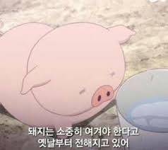 [잡담] @추때삼 | 인스티즈