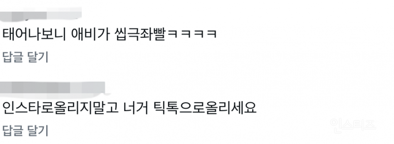 민주당 후보 아버지 도와드린다는 글에 달린 댓글 수준....JPG | 인스티즈