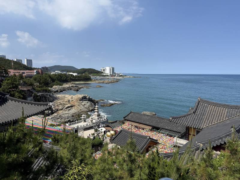 [잡담] 내일 또 해동용궁사 가야겠노.... | 인스티즈