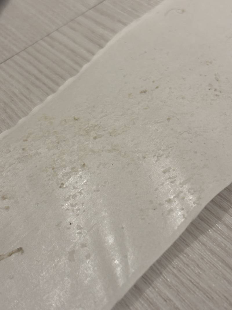 [잡담] 우리집 천장에 이런게 생겼는데 뭔지 알아..? | 인스티즈