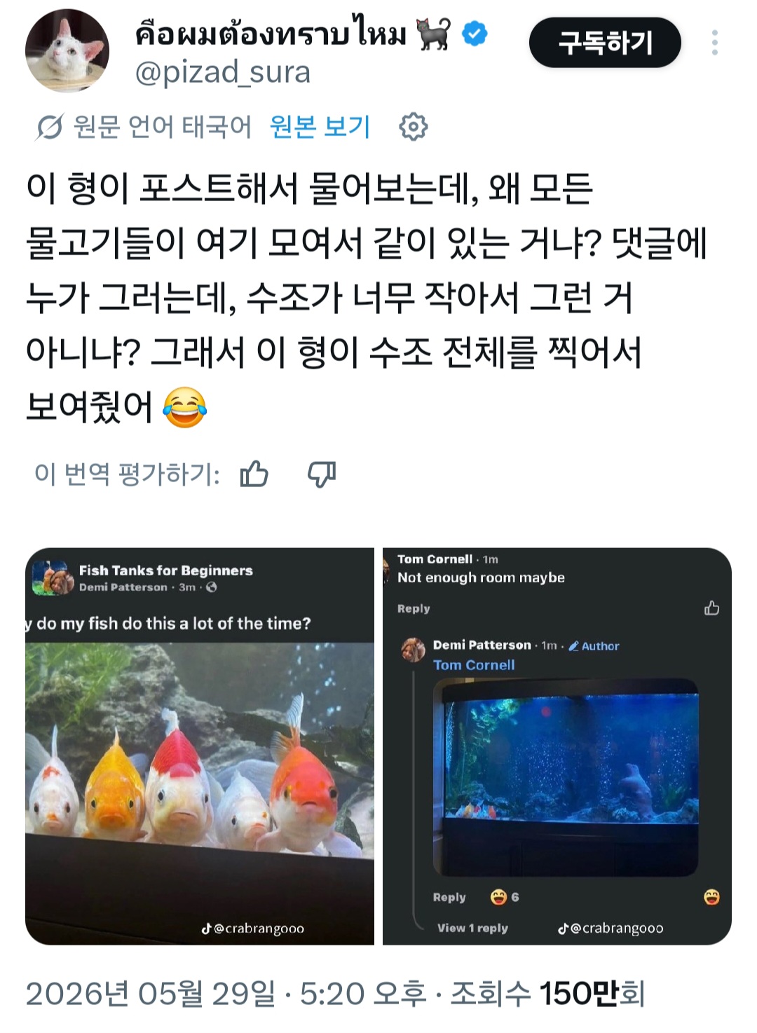 [잡담] 줠라 귀여운 금붕어 엑스 봄ㅋㅋㅋㅋㅋㅋㅋㅋ | 인스티즈
