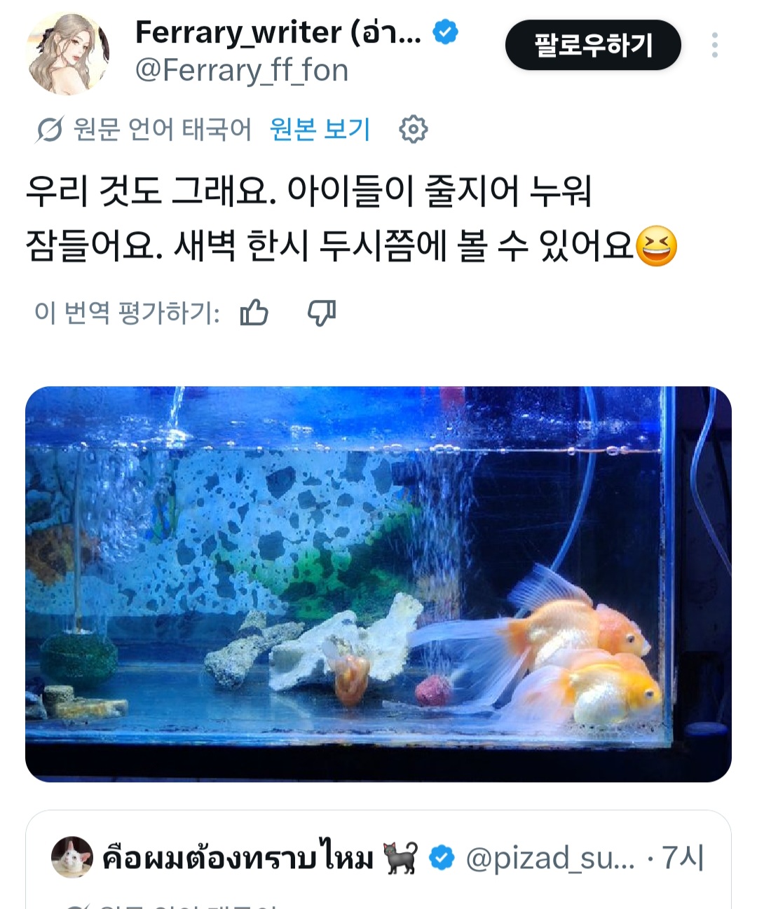 [잡담] 줠라 귀여운 금붕어 엑스 봄ㅋㅋㅋㅋㅋㅋㅋㅋ | 인스티즈