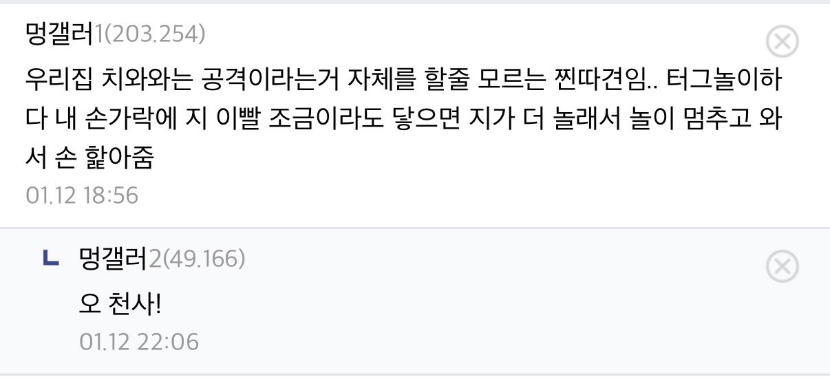 [잡담] 내 건호가 천사치와와라니 | 인스티즈
