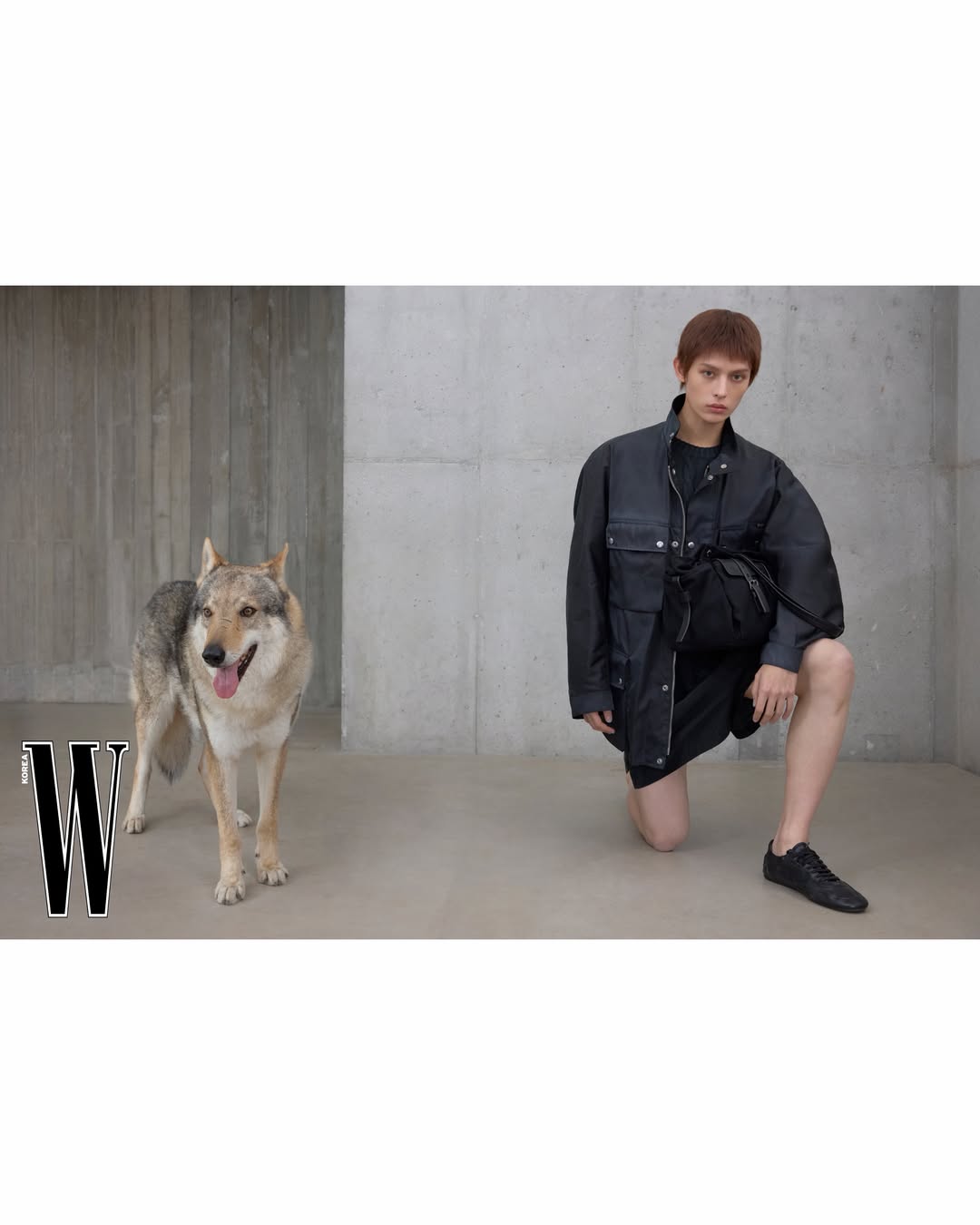 [정보/소식] 코르티스 제임스 Wkorea 화보 | 인스티즈