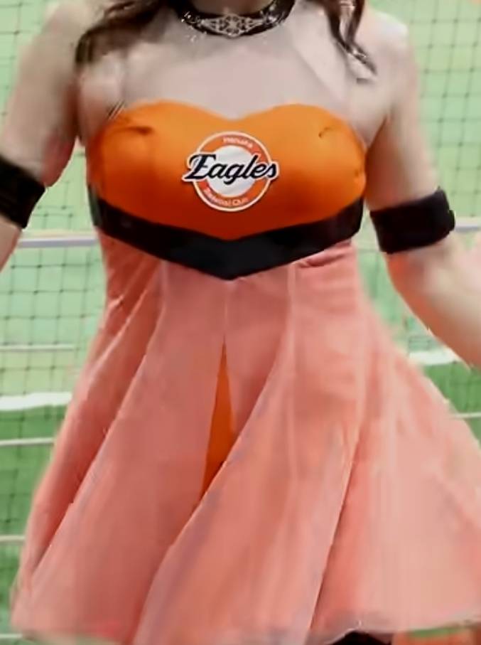 [잡담] 보리들아 야구 외 딴 얘긴데 너네 치어 정복? 맘에드니? | 인스티즈