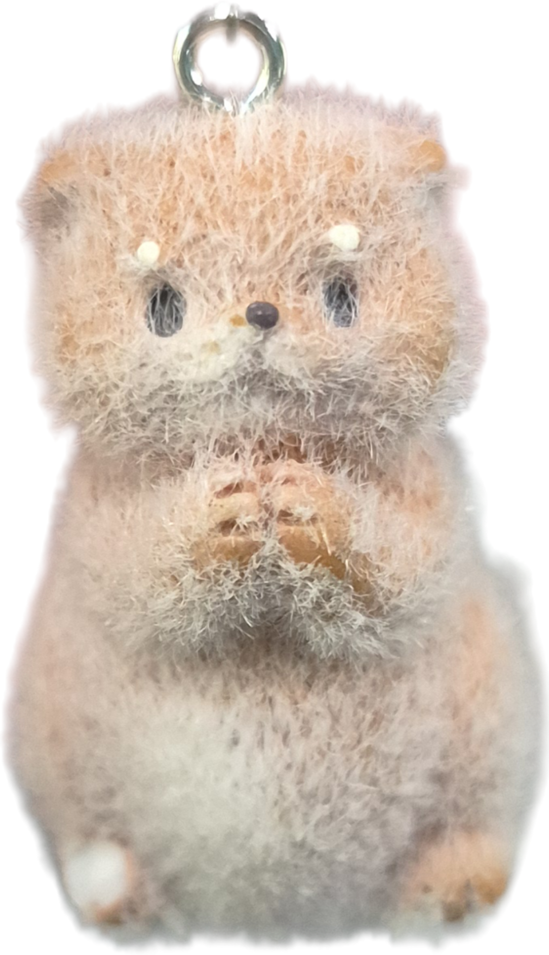 [잡담] 우리집 쇼타로 | 인스티즈