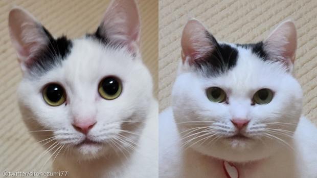 [잡담] 나 15키로쪘는데 ㄹㅇ 이정도로 변화큼 | 인스티즈