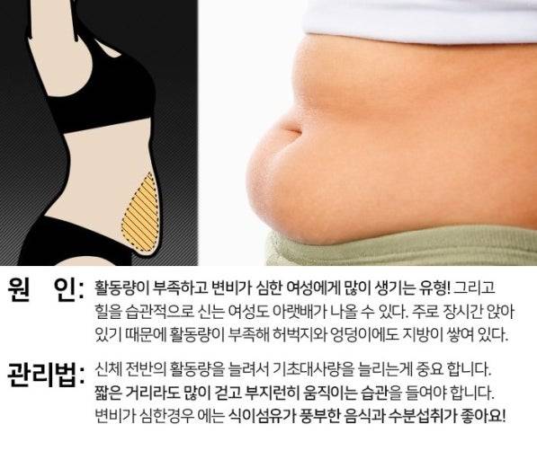 [잡담] 하루종알 앉아있는 익들 뱃살 안나와...? | 인스티즈