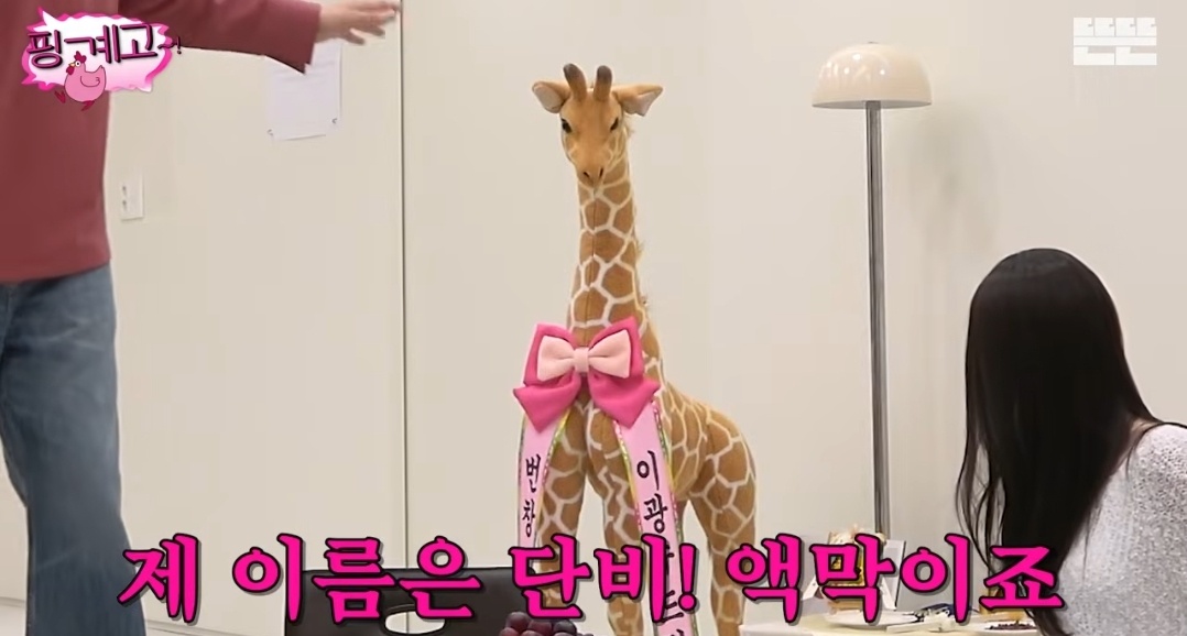 [잡담] 핑계고에 단비 데리고 온거 개웃기넼ㅋㅋㅋㅋㅋ | 인스티즈
