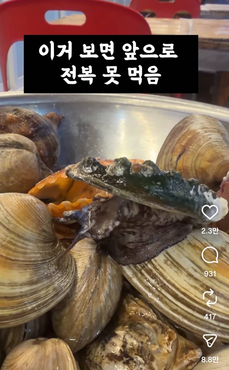 [잡담] 달팽이 키우고부터 전복, 소라, 골뱅이 못먹음... | 인스티즈