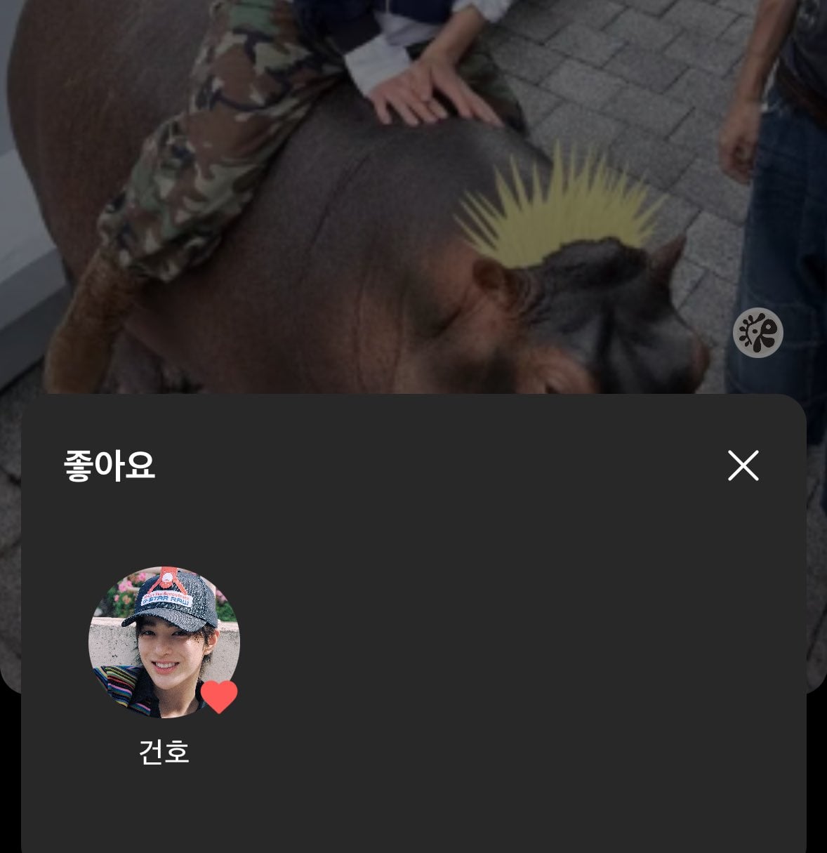 [잡담] 건호 걍 동물 관련된거에 잘꽂히는 스타일임 | 인스티즈