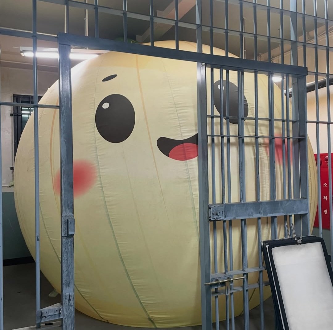 [잡담] 원더풀스) 이거 알았어??? 양순이 | 인스티즈