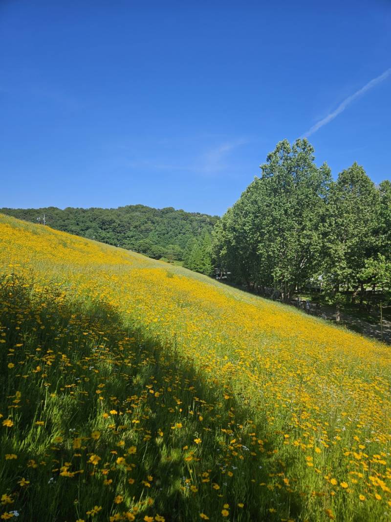[잡담] 친구랑 사진 대결 중인데 | 인스티즈