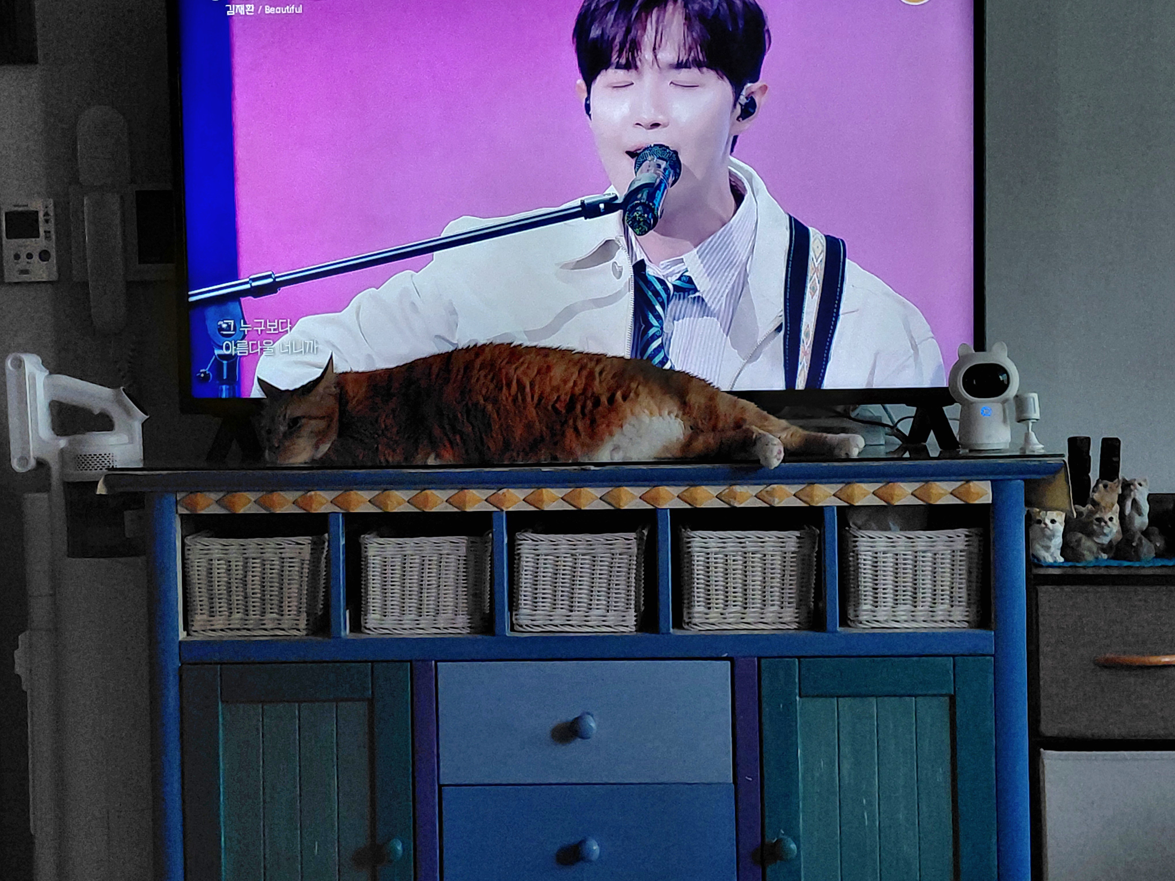 [잡담] 성시경 고막남친 재방보는데 고양이 너무 시강임 | 인스티즈