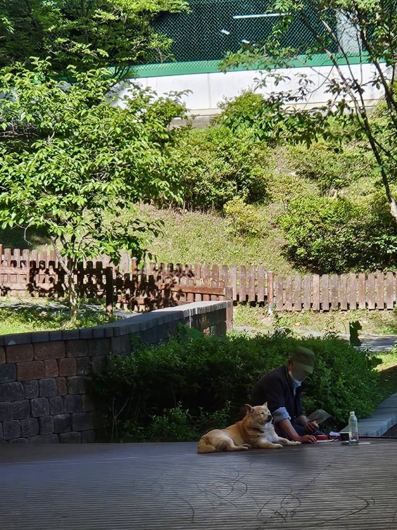 [잡담] 친구랑 사진 대결 중인데 | 인스티즈