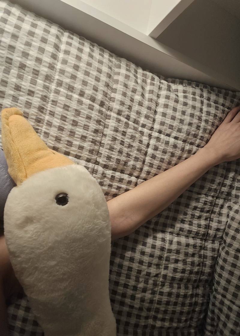 [잡담] 귀여운거 보고갈래? | 인스티즈