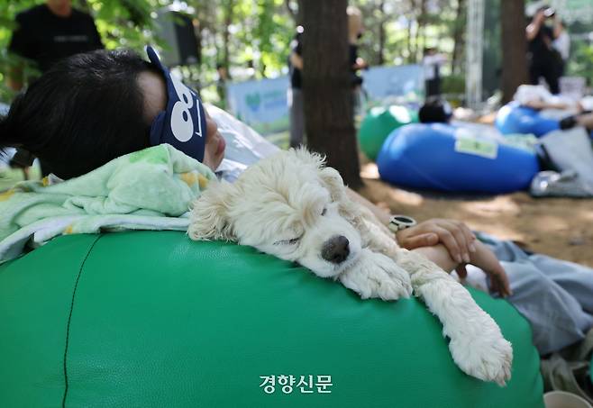 [잡담] 오늘 서울숲에서 반려견과 개꿀잠대회 열린거 봄? | 인스티즈