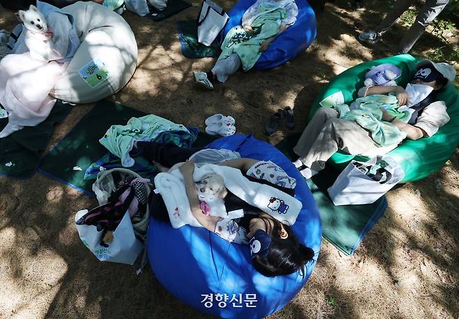 [잡담] 오늘 서울숲에서 반려견과 개꿀잠대회 열린거 봄? | 인스티즈