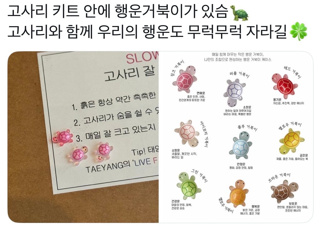 [잡담] 팬들한테 반응 개터진 태양 역조공… | 인스티즈