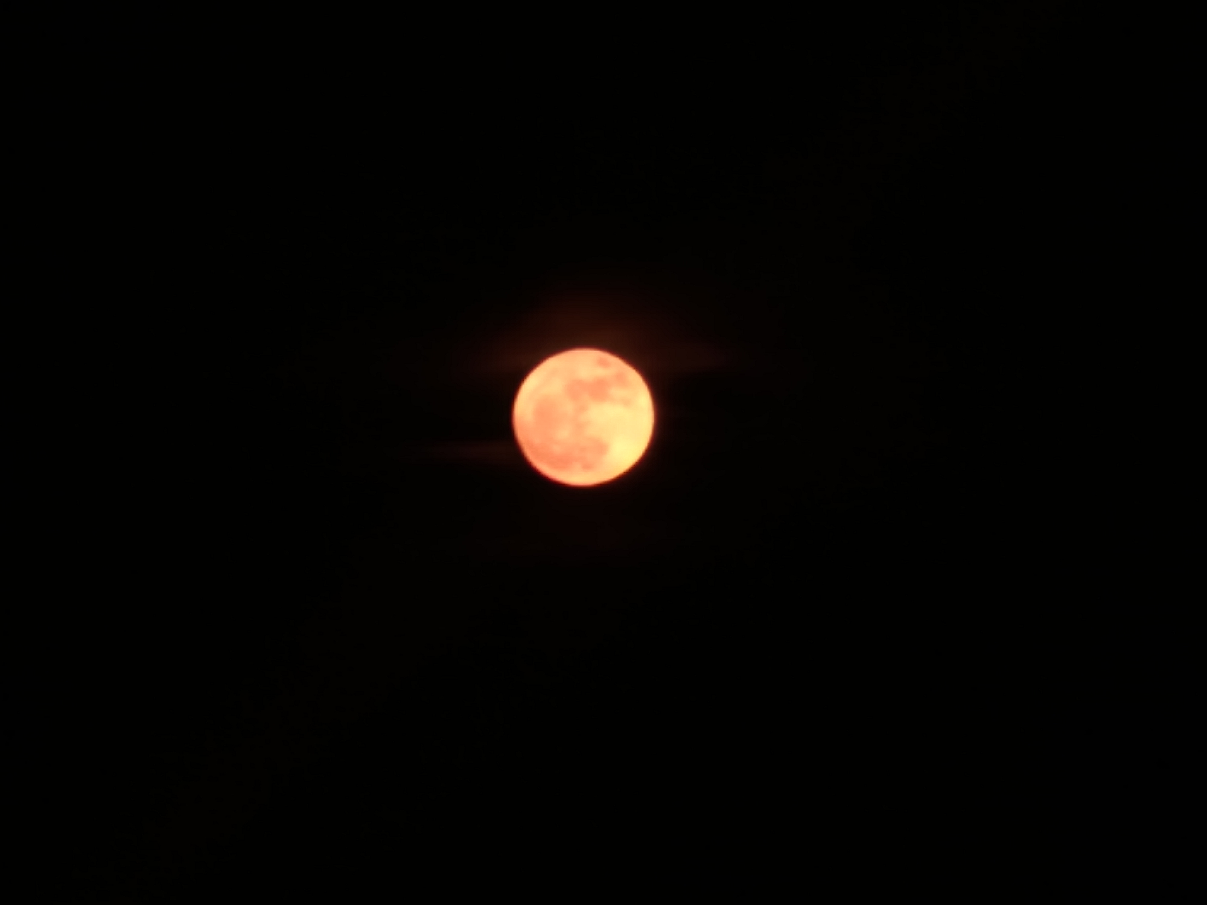 [잡담] 보름달🌕 | 인스티즈