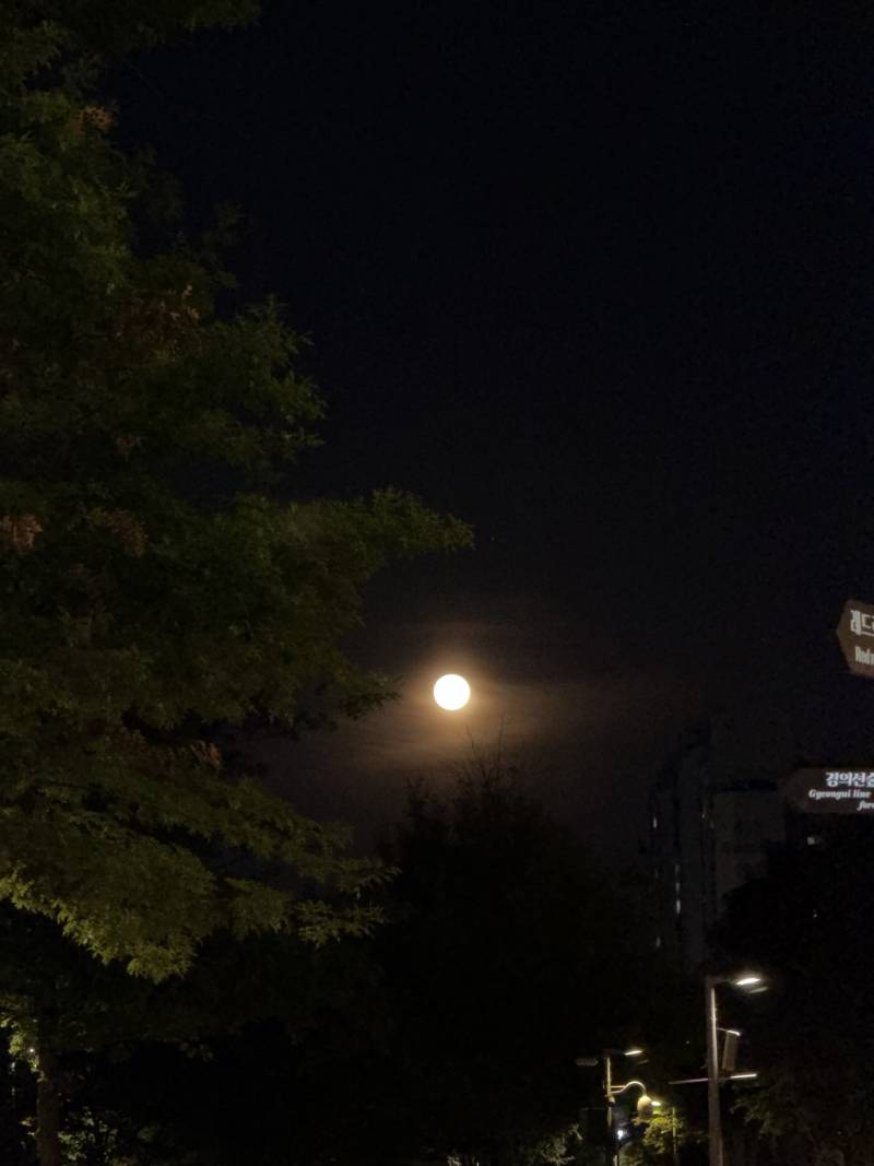 [잡담] 오늘 달 이쁘다 | 인스티즈