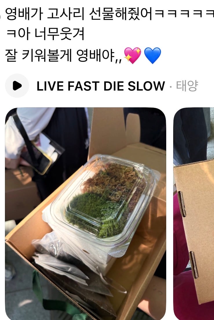 [잡담] 팬들한테 반응 개터진 태양 역조공… | 인스티즈