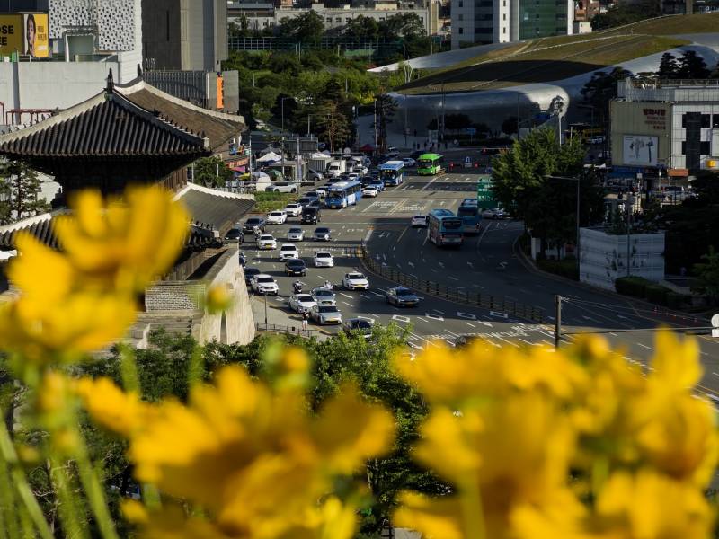 [잡담] 지금 동대문 여기 공원 진짜 예쁨 | 인스티즈