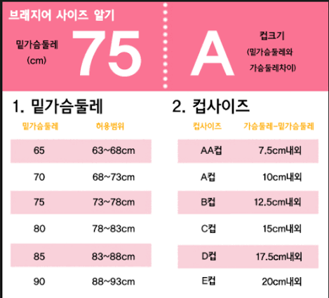 [잡담] 가슴사이즈 밑 78 위 91이면 | 인스티즈