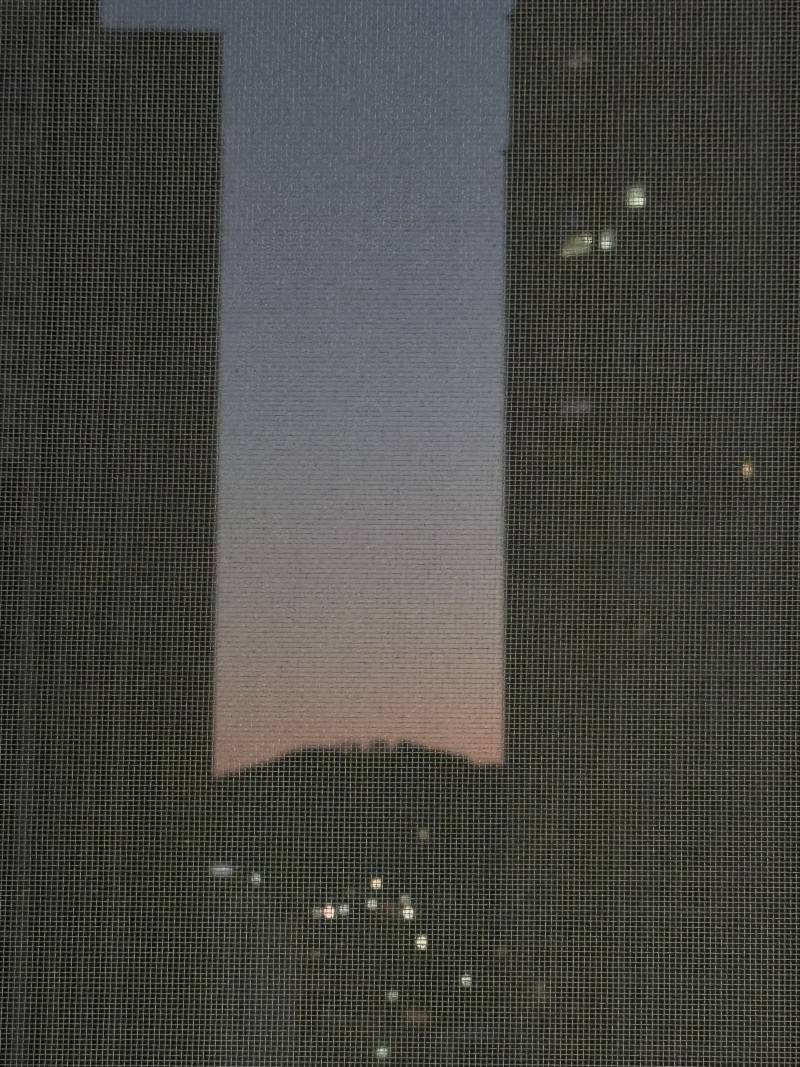 [잡담] 벌써 해뜨고 새소리들려 미칫나바 ; | 인스티즈