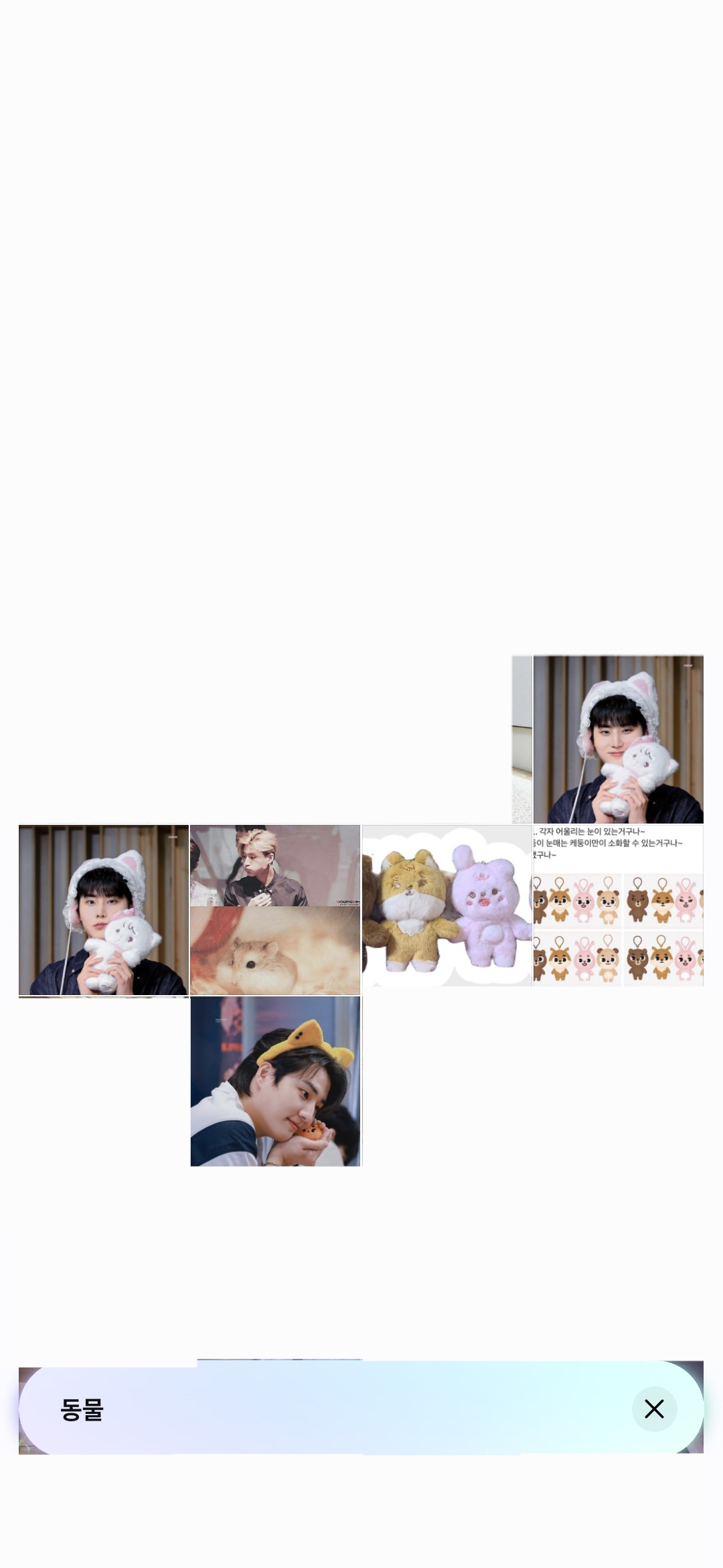 [잡담] 영케이 고양이 맞나봄 | 인스티즈